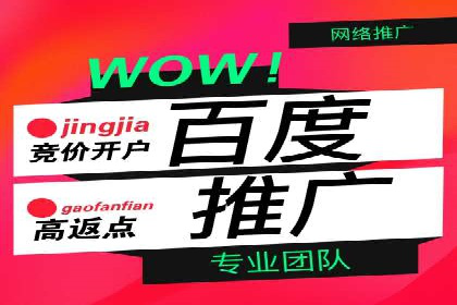 SEM竞价案例教学，实战技巧大公开